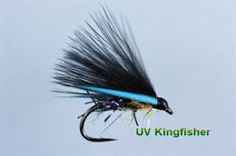 Kingfisher UV Cormorant